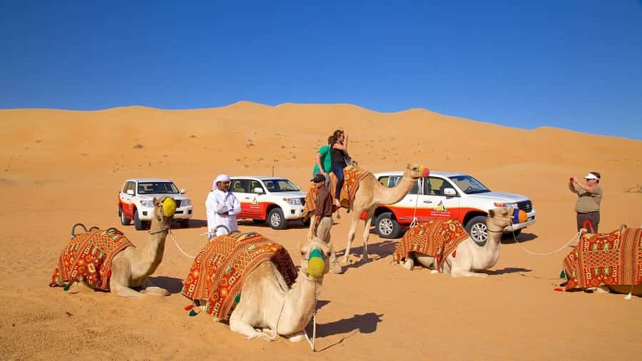 camel treking