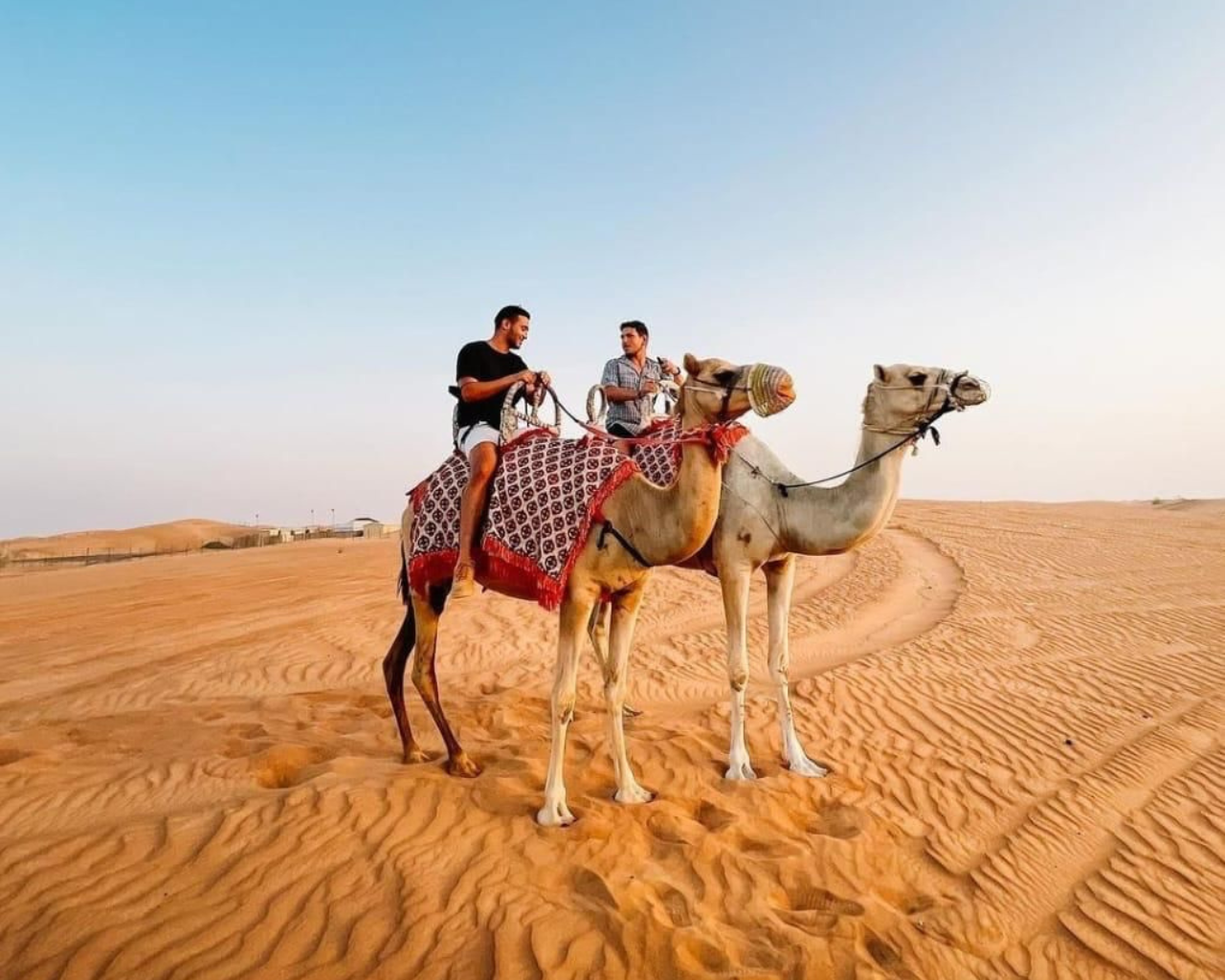 Camel Ride Safari