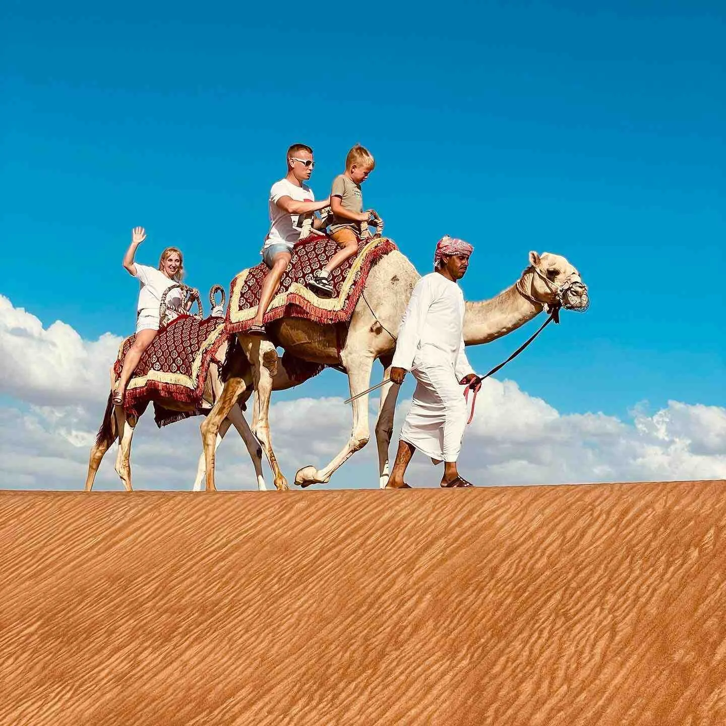 Morning Desert Safari With 30 minutes Camel Ride